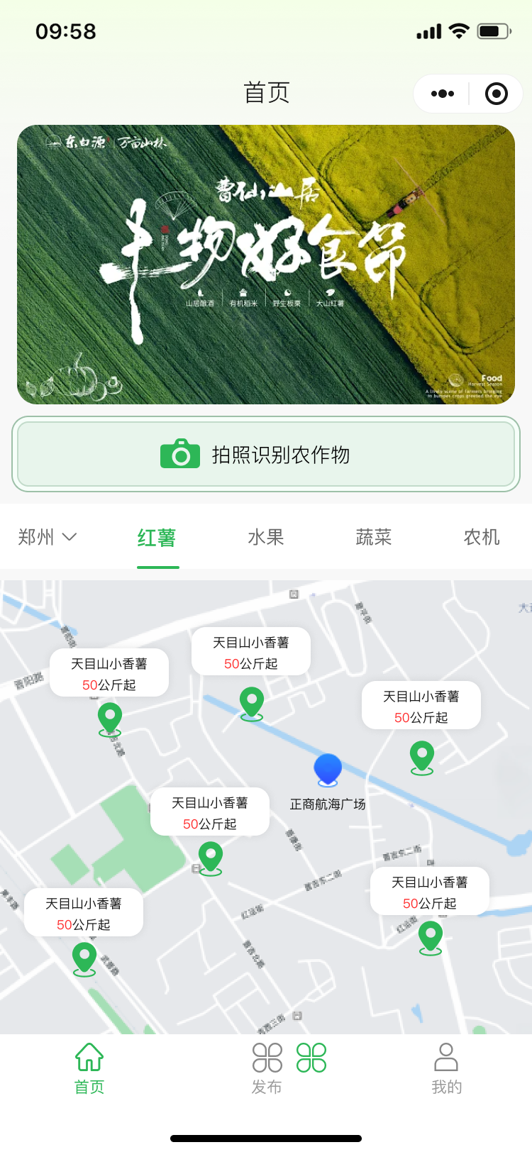 主图
